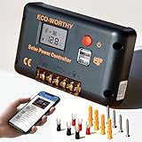 ECO-WORTHY Regulador de Carga Solar 30A Controlador inteligente para paneles solares y baterías con 2 puertos USB 12/24 V PWM Apto para bateria lifepo4, plomo-ácido y gel